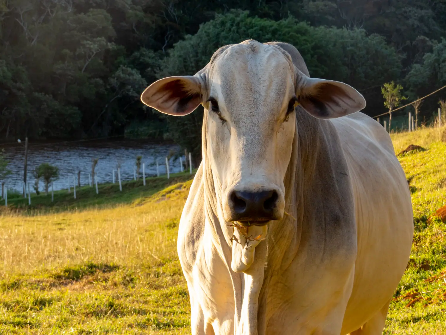 Equipe de produção Cria Bem